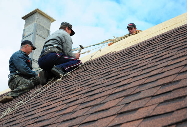 Best Roof Maintenance Services  in Seatac, WA